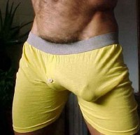 /album/malas-para-todos-os-gostos-/a-jpg/