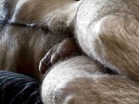 /album/galeria-de-fotos-pagina-inicial/a088-1000-jpg/